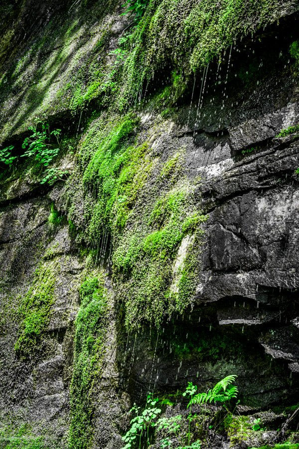 Water and Moss Wall Sculpture