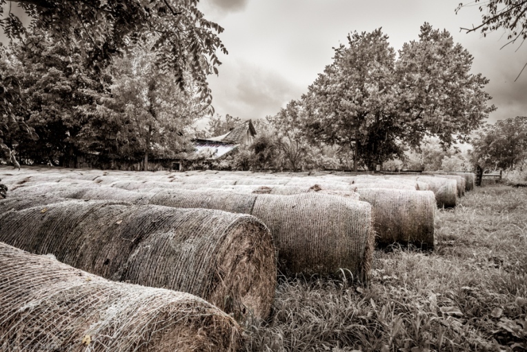 Roll of Hay Composition 3