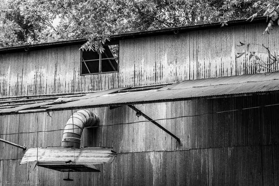 Abandoned Building on Dinkins Mill Road Composition 6